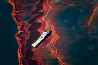 Illustration for article titled Strikingly beautiful pictures show the horrors of the BP oil spill